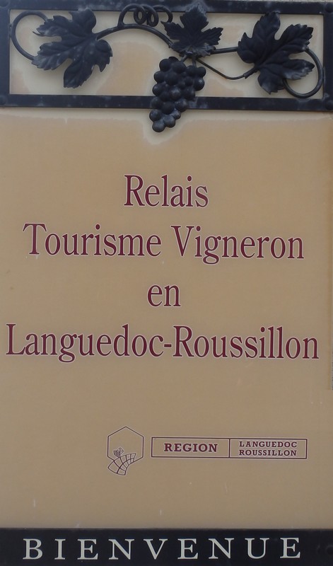 realis tourisme vigneron